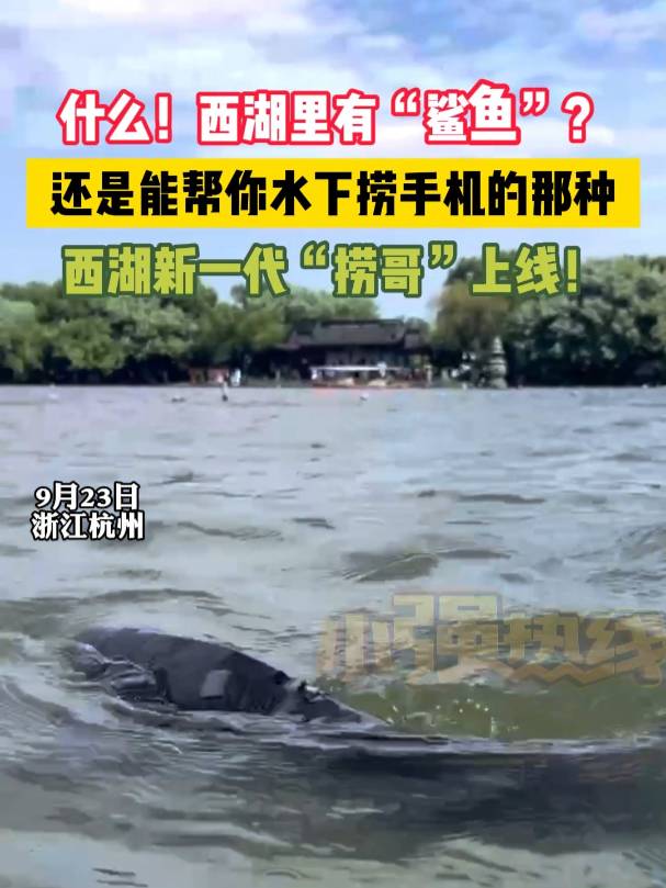 С(qing)ᾀ㽭̿F(xin)~߀܎?lin)֙C(j)ǷNһƸϾ㽭